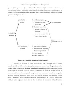 Management Financiar - Capitolul 1 - Pagina 11