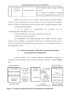 Management Financiar - Capitolul 1 - Pagina 13
