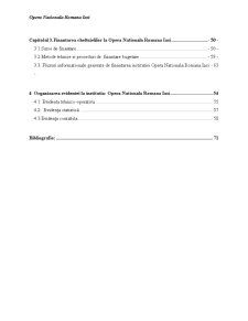 Organizarea și conducerea gestiunii financiare la Opera Națională Română Iași - Pagina 3