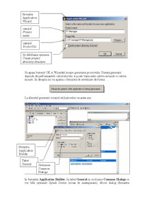 Realizarea aplicației (fișierului.exe) în Visual FoxPro - Pagina 2