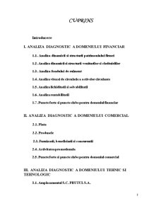 Analiza Diagnostic la SC Prutul SA - Pagina 2