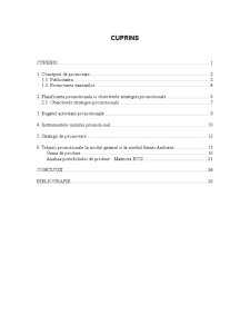 Analiza firmei de comerț SC Ambient SRL - Pagina 1