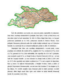 Prezentarea unei zone turistice - Maramureș - Pagina 4