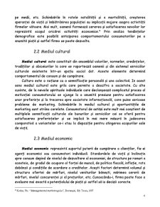 Analiză de Marketing la Societatea Salomon România - Pagina 4