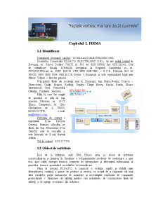 Raport de practică în cadrul companiei Elsaco Electronics - agent de vânzări - Pagina 1