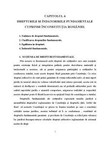 Drept Constituțional - Pagina 41
