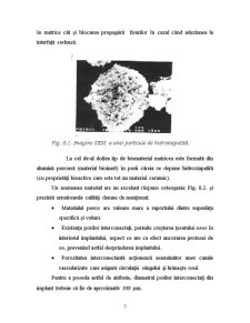 Biomateriale - Pagina 3