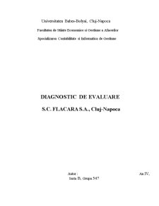 Diagnostic de evaluare - SC Flacăra SA - Pagina 1