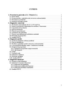 Diagnostic de evaluare - SC Flacăra SA - Pagina 2