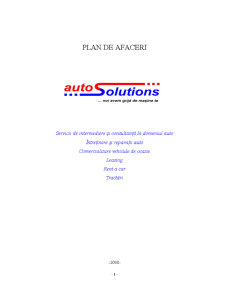 Plan de Afaceri - Auto Solutions - Pagina 1