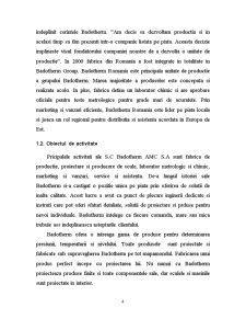 Raport de practică SC Badotherm SA - Pagina 5
