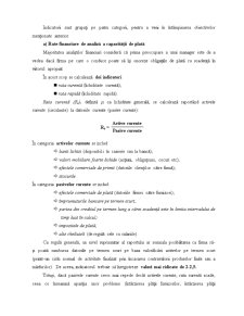 Analiza ratelor financiare pe exemplul SC Turbomecanica SA București - Pagina 3