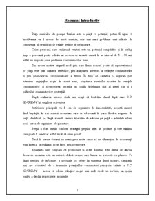 Analiza pieței - pompe funebre - Pagina 2