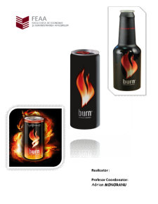 Tehnici promoționale - marca Burn - Pagina 1