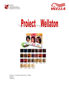 Tehnici promoționale - Wellaton - Pagina 1