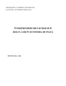 Întreprinderi Mici și Mijlocii - Pagina 1