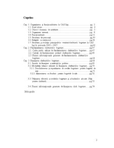 Fundamentarea și finanțarea cheltuielilor bugatare la CAS Iași - Pagina 2