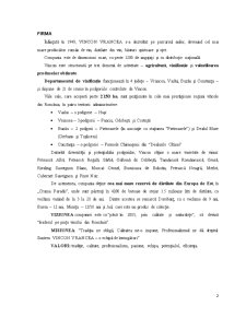 Tehnici de comerț exterior - Vincon Vrancea - Pagina 2