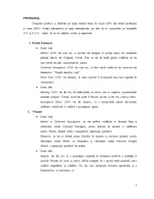 Tehnici de comerț exterior - Vincon Vrancea - Pagina 3