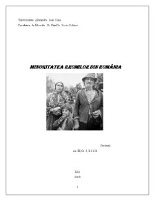 Minoritatea Rromilor din România - Pagina 1