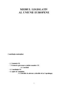 Mediul de Afaceri European și Strategia Competitivității - Pagina 2