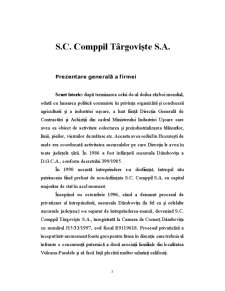 Analiză SWOT SC Comppil Târgoviște SA - Pagina 3