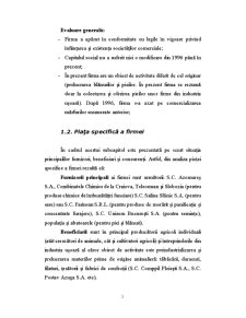 Analiză SWOT SC Comppil Târgoviște SA - Pagina 5