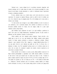 Influența Polenizării Entomofile cu Albine asupra Dezvoltării Perdelelor Forestiere de Salcâm din Județul Constanța - Pagina 3