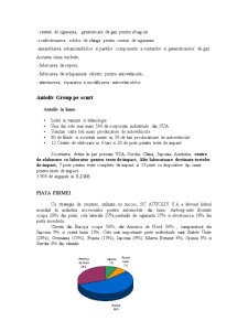 Analiza Mixului de Marketing la SC Autoliv SA - Pagina 4