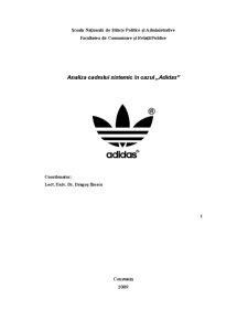 Analiza Cadrului Sistemic în Cazul Adidas - Pagina 1
