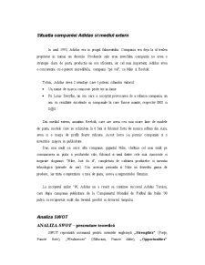 Analiza Cadrului Sistemic în Cazul Adidas - Pagina 3