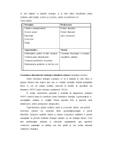 Analiza Cadrului Sistemic în Cazul Adidas - Pagina 5