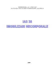 IAS 38 - imobilizări necorporale - Pagina 1