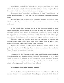 Studiu privind lansarea pe piața românească a cârnaților de pleșcoi - Pagina 5