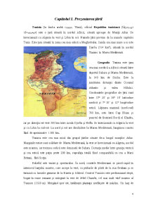 Management internațional - Tunisia - Pagina 3