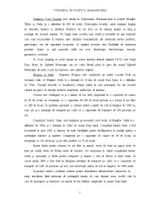 Județul Maramureș - Analiza Activității Turistice - Pagina 3