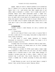 Județul Maramureș - Analiza Activității Turistice - Pagina 4