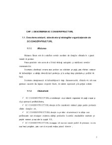 Raport practică SC Conservfruct SRL - Pagina 3