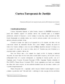 Curtea Europeană de Justiție - Pagina 3