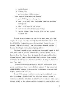 Analiza Sistemului Economico-ingineresc - SC Greenforest SRL - Pagina 4