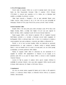Brandul Cellini - Pagina 2