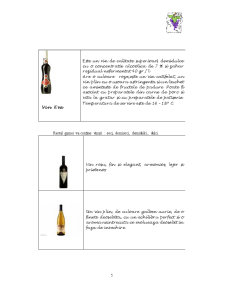 Firmă viticolă - SC Evinia SCS - Pagina 5