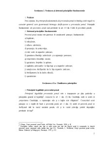 Principiile Fundamentale care stau la Baza Procesului Penal Român - Pagina 3