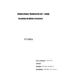 Marketing internațional - studiu de caz - Tunisia - Pagina 1