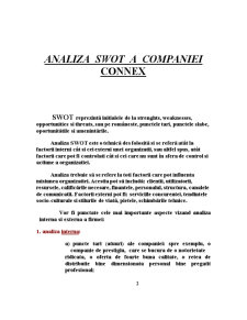 Analiza SWOT a Companiei Connex - Pagina 2