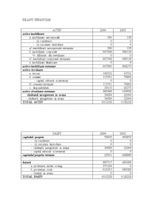 Bilanț și indicatori analiză financiară - Pagina 3