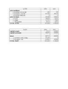 Bilanț și indicatori analiză financiară - Pagina 4