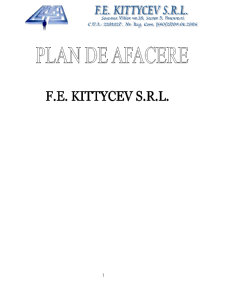 Plan de Afaceri - F.E. Kittcev SRL - Pagina 1
