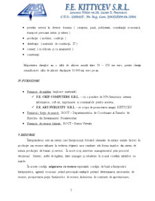 Plan de Afaceri - F.E. Kittcev SRL - Pagina 5