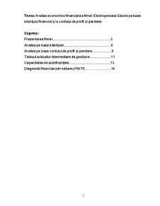 Analiza Economico-financiară a Firmei Electroprecizia Săcele pe Baza Bilanțului Financiar și a Contului de Profit și Pierdere - Pagina 2